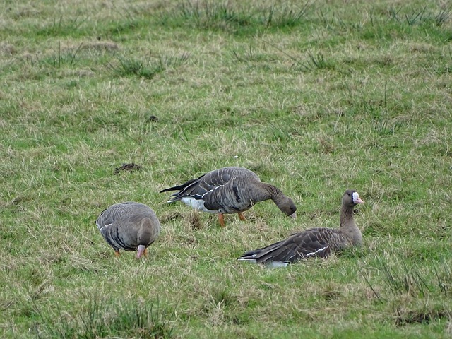 [台球]小遇挑战 丁俊晖挺进16强.