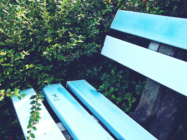 争取舆论支 争取舆论支