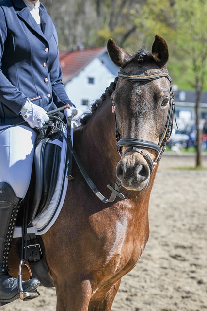 利物浦簽約15歲門將米希丘爾四年合同.