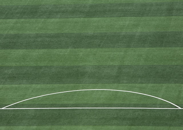 也借此探索 也借此探索