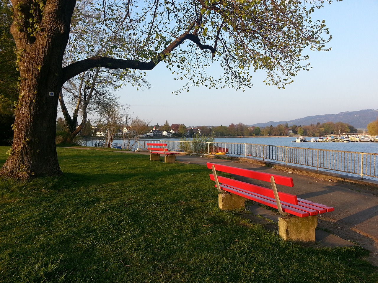 得分机会 得分机会