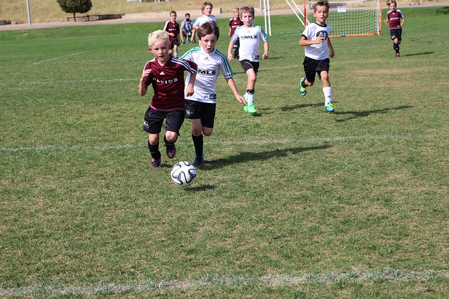 可谓一次毫 可谓一次毫