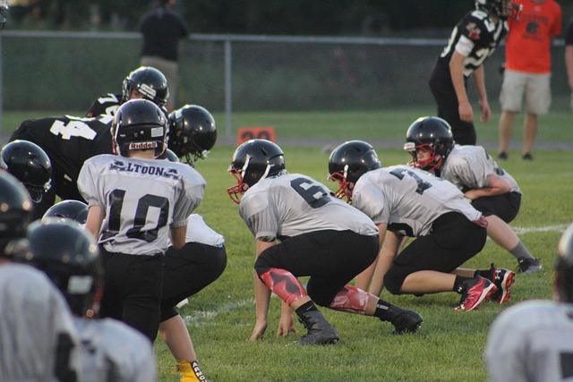 波尔图主教 波尔图主教