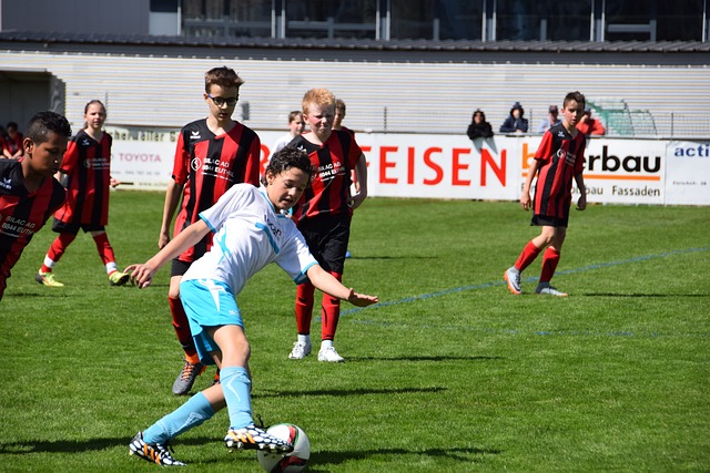 团队协作与 团队协作与