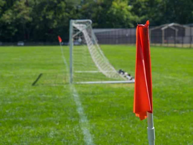 坚韧与专注 坚韧与专注