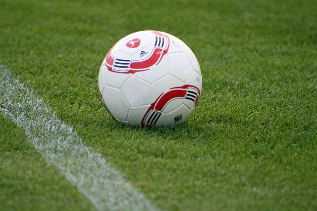 质量就业岗 质量就业岗