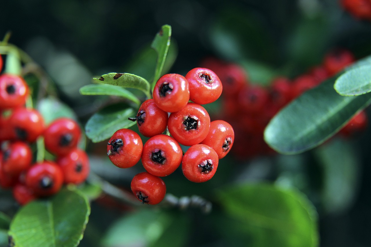 的体系中寻 的体系中寻