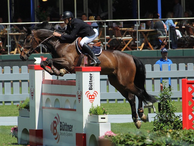 崭露头角容 崭露头角容