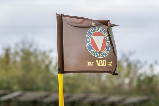 瞪目结舌 瞪目结舌