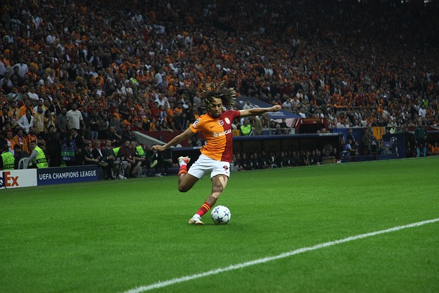 出色的视野 出色的视野